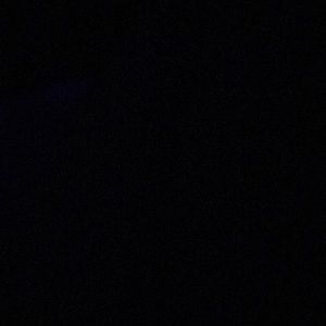 Meet your Posher, Rose